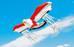 鳥追い暴れん坊タカ