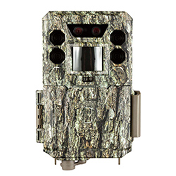 トロフィーカムXLT30MPノーグロウDC