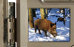 カラーモニター内蔵