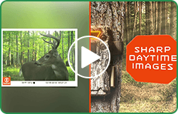 トロフィーカムXLT30MPノーグロウDC