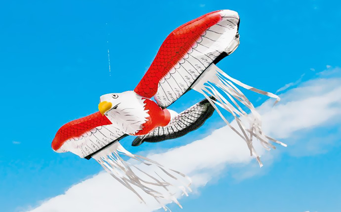 鳥追い暴れん坊タカ